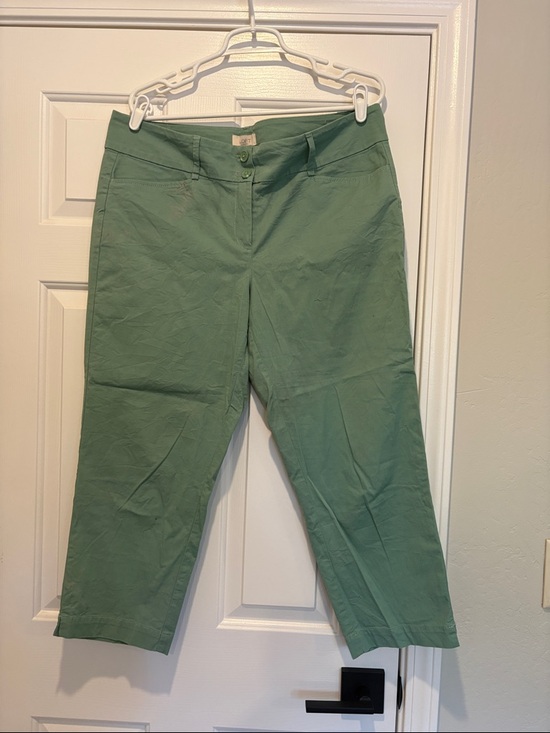 LOFT Pants - NWOT LOFT Mint Green Casual Pants, size 12